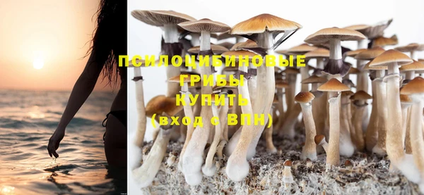 твердый Кодинск