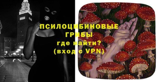 твердый Кодинск
