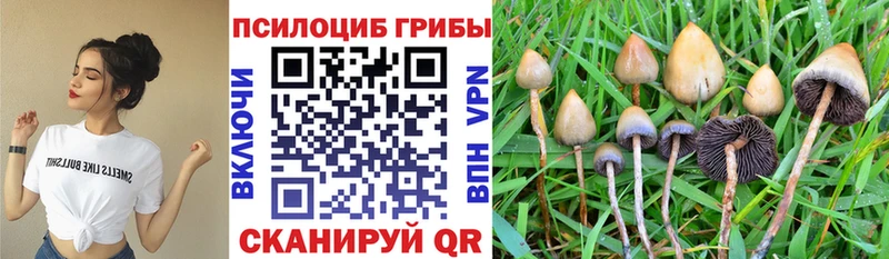 Купить закладки  Ялта  Галлюциногенные грибы Psilocybine cubensis 
