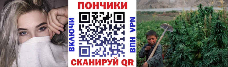 Купить закладки  Ялта  Канабис OG Kush 